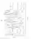 Fig. 04 - Polymorphs of N- (2 -methoxybenzoyl) -4- [ (methylaminocarbonyl) amino] benzenesulfonamide