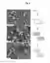 Fig. 06 - Metal-organic materials and method for preparation
