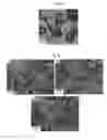 Fig. 08 - Metal-organic materials and method for preparation