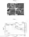 Fig. 11 - Metal-organic materials and method for preparation