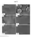 Fig. 17 - Metal-organic materials and method for preparation