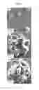 Fig. 22 - Metal-organic materials and method for preparation