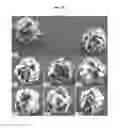 Fig. 23 - Metal-organic materials and method for preparation
