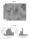 Fig. 24 - Metal-organic materials and method for preparation