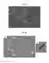 Fig. 32 - Metal-organic materials and method for preparation