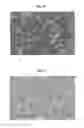 Fig. 35 - Metal-organic materials and method for preparation