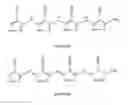 Fig. 01 - Electrically conducting oligo(pyrazoles)