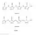 Fig. 02 - Electrically conducting oligo(pyrazoles)