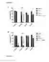Fig. 07 - BIOORTHOGONAL METHODS AND COMPOUNDS