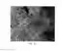Fig. 03 - Crystalline and mesomorphous forms of an AKT inhibiting pyrimidinyl-cyclopentane compound, compositions and methods thereof