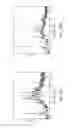 Fig. 32 - Crystalline and mesomorphous forms of an AKT inhibiting pyrimidinyl-cyclopentane compound, compositions and methods thereof