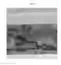 Fig. 02 - Composite containing catalytic metal nanoparticles, and use for same