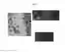 Fig. 04 - Composite containing catalytic metal nanoparticles, and use for same