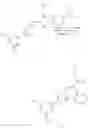 Fig. 185 - Nuclear transport modulators and uses thereof