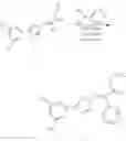 Fig. 192 - Nuclear transport modulators and uses thereof