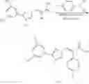 Fig. 216 - Nuclear transport modulators and uses thereof