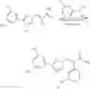Fig. 218 - Nuclear transport modulators and uses thereof