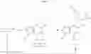 Fig. 24 - Piperidinyl-indole derivatives complement factor B inhibitors and uses thereof