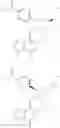 Fig. 241 - Piperidinyl-indole derivatives complement factor B inhibitors and uses thereof