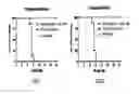 Fig. 02 - Inhibitors of influenza viruses replication