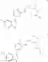 Fig. 229 - Inhibitors of influenza viruses replication