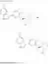 Fig. 339 - Inhibitors of influenza viruses replication