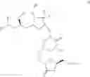 Fig. 61 - Synthetic process for preparation of macrocyclic C1-keto analogs of halichondrin B and intermediates useful therein