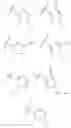 Fig. 09 - 2-amino-6-methyl-4,4a,5,6-tetrahydropyrano[3,4-d][1,3]thiazin-8a(8H)-yl-1,3-thiazol-4-yl amides
