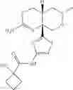 Fig. 112 - 2-amino-6-methyl-4,4a,5,6-tetrahydropyrano[3,4-d][1,3]thiazin-8a(8H)-yl-1,3-thiazol-4-yl amides