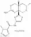 Fig. 129 - 2-amino-6-methyl-4,4a,5,6-tetrahydropyrano[3,4-d][1,3]thiazin-8a(8H)-yl-1,3-thiazol-4-yl amides