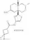 Fig. 133 - 2-amino-6-methyl-4,4a,5,6-tetrahydropyrano[3,4-d][1,3]thiazin-8a(8H)-yl-1,3-thiazol-4-yl amides