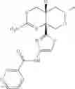 Fig. 62 - 2-amino-6-methyl-4,4a,5,6-tetrahydropyrano[3,4-d][1,3]thiazin-8a(8H)-yl-1,3-thiazol-4-yl amides