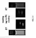 Fig. 06 - Multistimuli-responsive white luminescent materials including metal elements