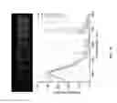 Fig. 20 - Multistimuli-responsive white luminescent materials including metal elements