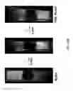 Fig. 42 - Multistimuli-responsive white luminescent materials including metal elements