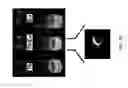 Fig. 47 - Multistimuli-responsive white luminescent materials including metal elements