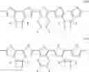 Fig. 57 - POLYMERIC COMPOUND AND ELECTRONIC ELEMENT
