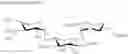 Fig. 109 - NOVEL AMINOGLYCOSIDE ANTIBIOTICS