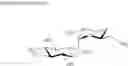 Fig. 51 - NOVEL AMINOGLYCOSIDE ANTIBIOTICS