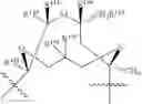 Fig. 22 - TRIAZOLE COMPOUNDS AND METHODS OF MAKING AND USING THE SAME