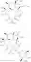 Fig. 31 - TRIAZOLE COMPOUNDS AND METHODS OF MAKING AND USING THE SAME