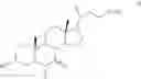 Fig. 05 - Steroids as agonists for FXR