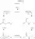 Fig. 74 - Use of ruthenium complexes for preparing amides, polypeptides and cyclic dipeptides