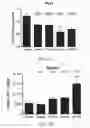 Fig. 16 - α4β7 peptide monomer and dimer antagonists