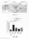 Fig. 22 - α4β7 peptide monomer and dimer antagonists