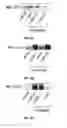 Fig. 10 - Compositions and methods of treatment of cancers