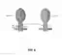 Fig. 06 - Recombinant viral vectors