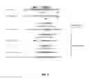 Fig. 07 - Recombinant viral vectors