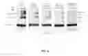 Fig. 10 - Recombinant viral vectors