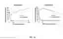 Fig. 16 - Recombinant viral vectors
